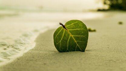 Elasticsearch 实例管理在京东的使用场景及演进之路