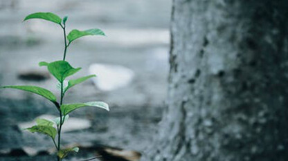 自由软件永远是自由的