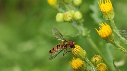 国产开源大模型阵营又添新成员！商汤科技发布新一代大语言模型书生·浦语2.0，支持200K超长上下文