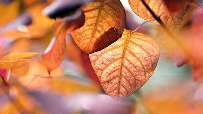 技术与艺术的碰撞!这次组委会居然CNCC把带到了横店