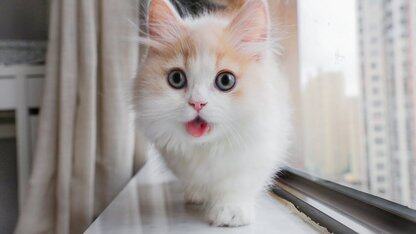 这里有本Angular修炼秘籍送你（三）