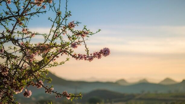 DeepSeek再次屠榜！Math V2以碾压姿态终结“最强数学模型”之争，网友：在数学上，中国模型没输过