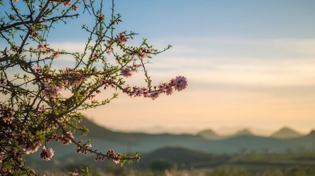 Alex Wang“没资格接替我”！Yann LeCun最新访谈揭露Meta AI“内斗”真相，并直言AGI是“彻头彻尾的胡扯”