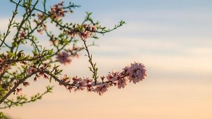 AWS Load Balancer Controller 正式发布,带来 Kubernetes Gateway API 支持