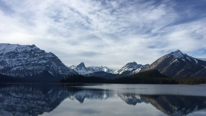 Swift跨平台框架Skip现已完全开源