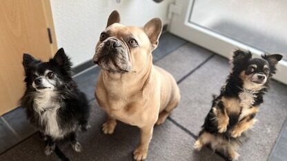 谷歌发布 Suncatcher 项目,设想让 AI 模型在太空中运行