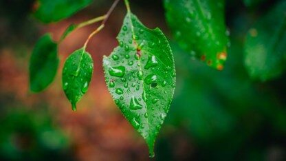 Node.js 26 带来默认启用的 Temporal API、V8 14.6 和一些功能弃用