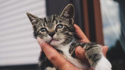 谷歌为 AI 算力拼了！砸下 47.5 亿美元收购Intersect Power，连对方债务都接盘了