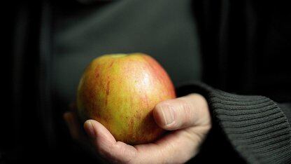 WWDC 2026，硅谷历史上最昂贵的认输：1.2 万亿参数 Siri 来自 Gemini，但你的手机跑不了