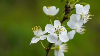 Cursor推出动态上下文发现功能，提升了Token的使用效率
