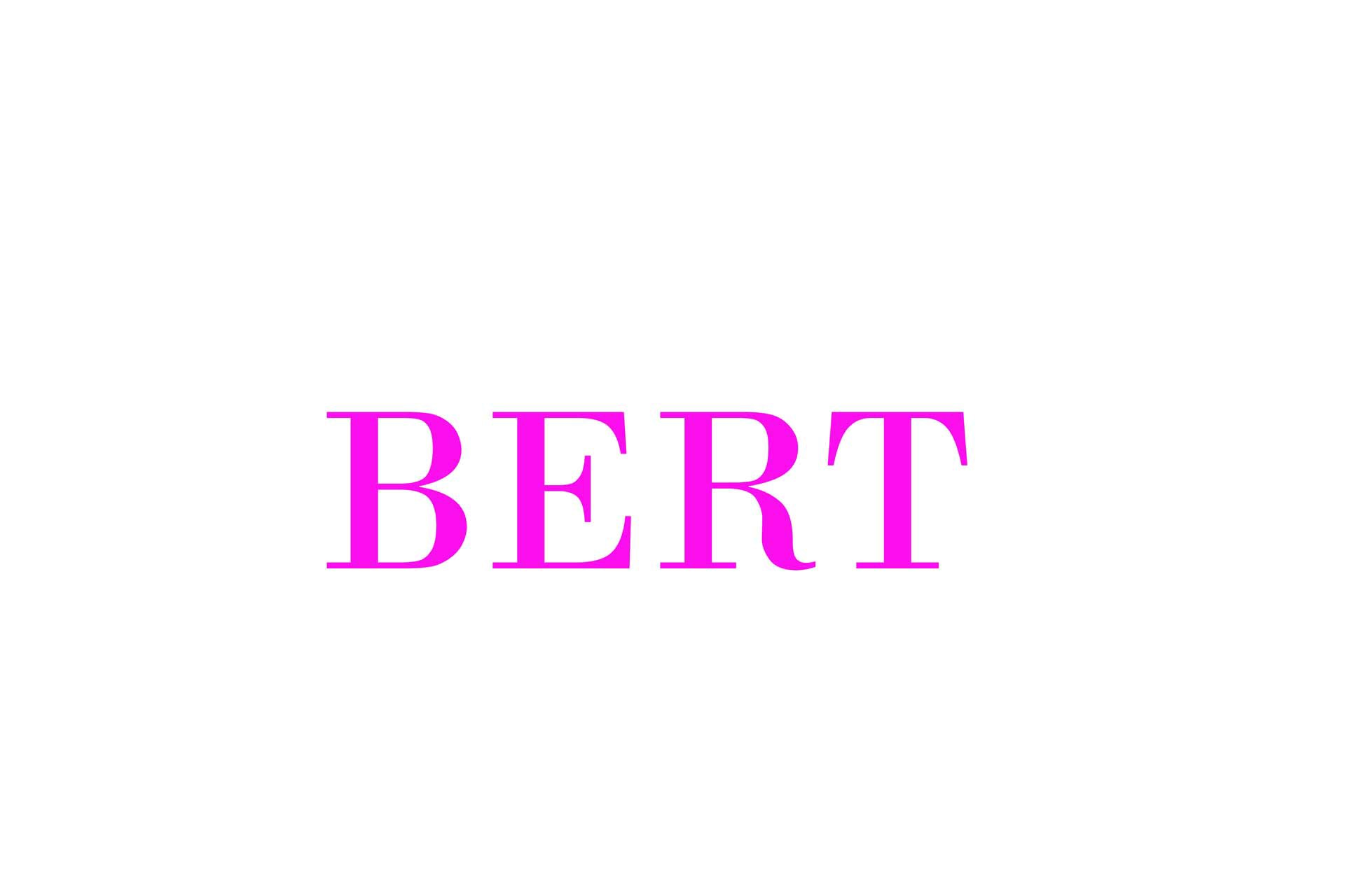 如何通过几行 Python 代码，使用BERT进行词嵌入？