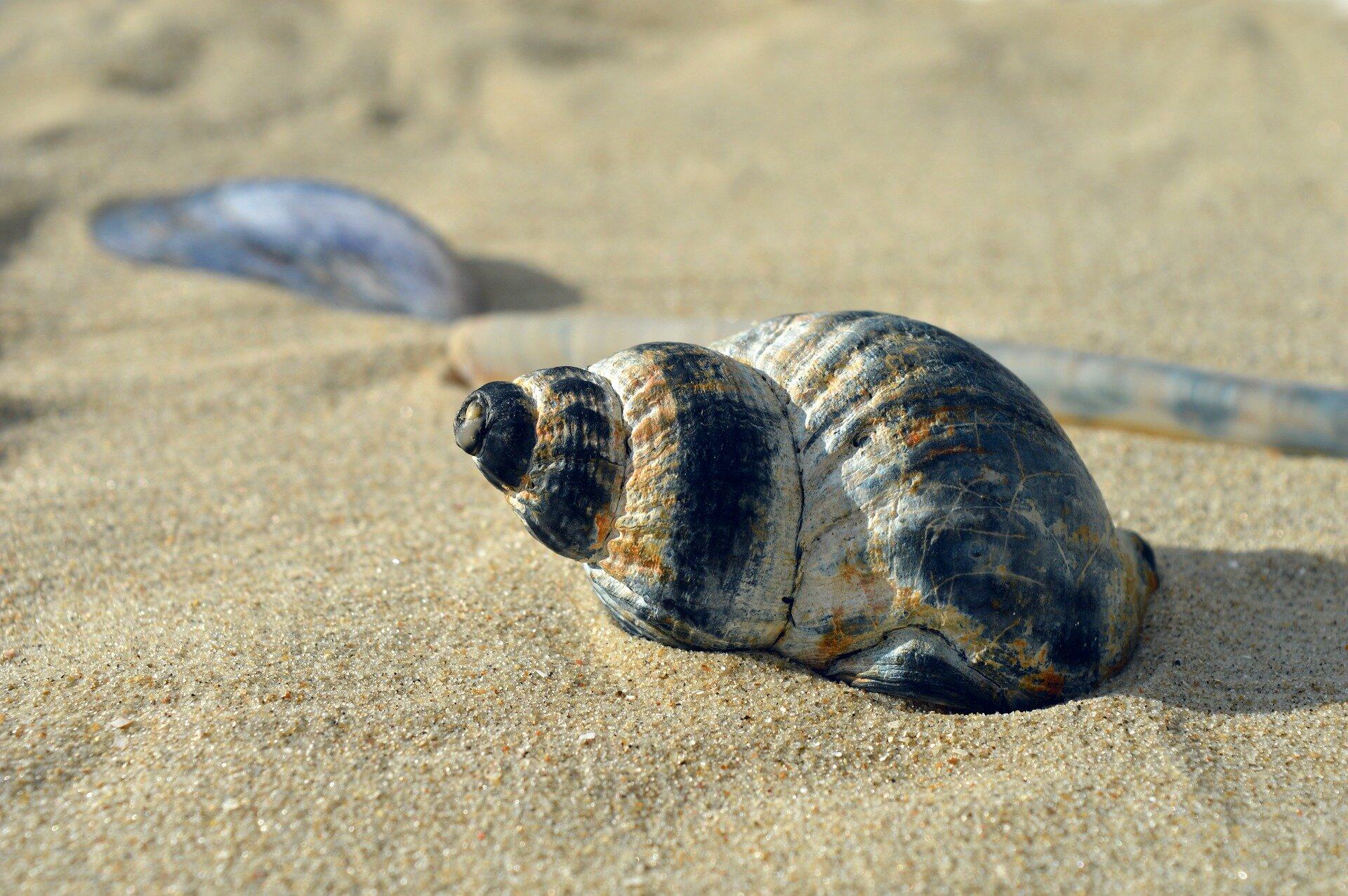 又一款英伟达 Blackwell GPU 全面上市，本地跑通复杂AI工作流