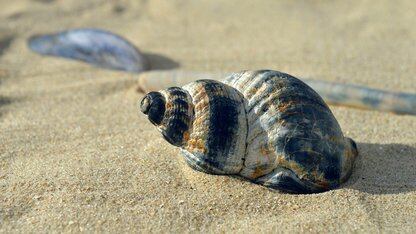 当前关于 Vibe Engineering 的所有认知都会在 1 个月内严重过时