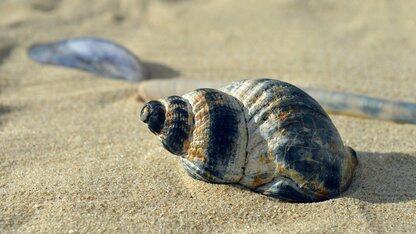 又一款英伟达 Blackwell GPU 全面上市，本地跑通复杂AI工作流