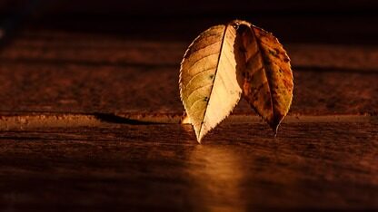 Apache 两个开源项目比较：Flink vs Spark