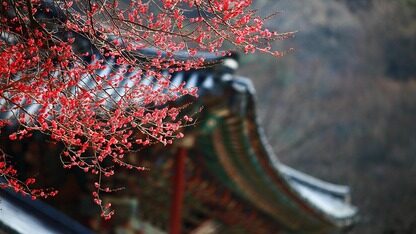 AI大模型、机器人上春晚！直点播收视28.17亿次，用云量达历年之最
